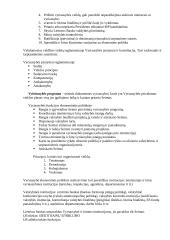 Ekonominė politika 4 puslapis