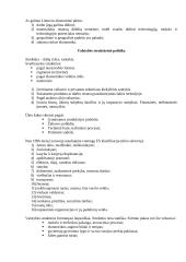 Ekonominė politika 6 puslapis