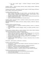 Ekonominė politika 7 puslapis