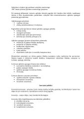 Ekonominė politika 10 puslapis