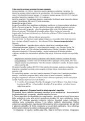 Trijų ramsčių sistemos ypatumai Europos Sąjungoje