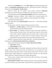 Finansinės priemonės 11 puslapis