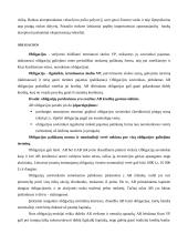 Finansinės priemonės 12 puslapis