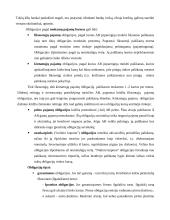 Finansinės priemonės 13 puslapis