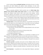 Finansinės priemonės 16 puslapis