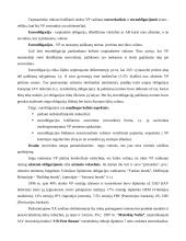 Finansinės priemonės 20 puslapis