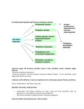 Finansinis (nuosavybės) įmonės veiklos tyrimo aspektas 2 puslapis