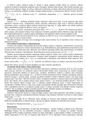 Elektros krūvis, krūvio tankis 4 puslapis