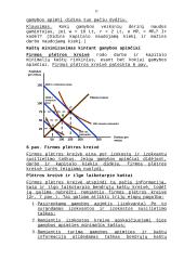 Gamybos kaštai 11 puslapis