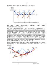 Gamybos kaštai 15 puslapis