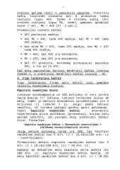 Gamybos kaštai 7 puslapis