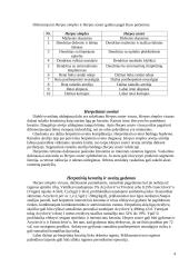 Herpetiniai keratitai ir uveitai 4 puslapis