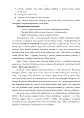 Įmonių finansinė analizė 2 puslapis