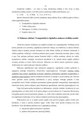 Įmonių finansinė analizė 13 puslapis