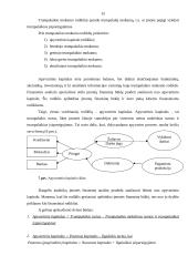 Įmonių finansinė analizė 15 puslapis