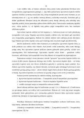 Įmonių finansinė analizė 16 puslapis