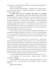 Įmonių finansinė analizė 17 puslapis