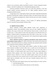 Įmonių finansinė analizė 19 puslapis