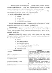 Įmonių finansinė analizė 9 puslapis