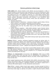 Informacinės komunikacinės technologijos 12 puslapis