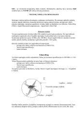 Informacinės komunikacinės technologijos 15 puslapis