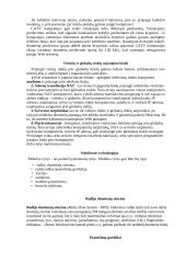 Informacinės komunikacinės technologijos 20 puslapis