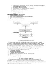 Informacinės komunikacinės technologijos 3 puslapis