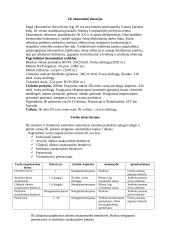 Jungtinė Karalystė: ekonomika