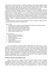 Kapitalo rinkos apžvalga 5 puslapis