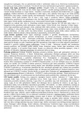 Teorija kompiuterių tinklų egzaminui 2 puslapis