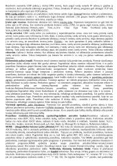 Teorija kompiuterių tinklų egzaminui 11 puslapis