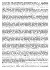 Teorija kompiuterių tinklų egzaminui 12 puslapis