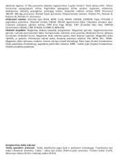 Teorija kompiuterių tinklų egzaminui 15 puslapis