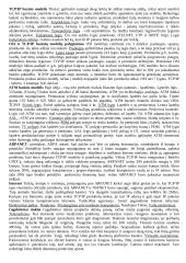 Teorija kompiuterių tinklų egzaminui 3 puslapis