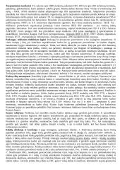 Teorija kompiuterių tinklų egzaminui 4 puslapis