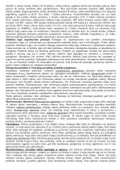 Teorija kompiuterių tinklų egzaminui 6 puslapis