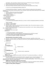 Makroekonomikos pradmenys 3 puslapis