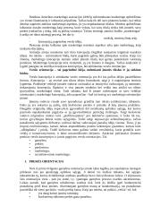 Marketingo orientacija