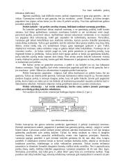 Marketingo orientacija 2 puslapis