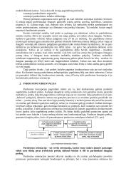 Marketingo orientacija 3 puslapis