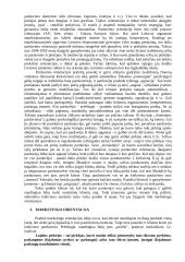 Marketingo orientacija 4 puslapis