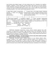 Marketingo orientacija 6 puslapis