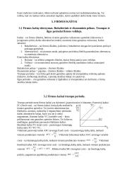 Mikroekonomika. Įvadas 13 puslapis