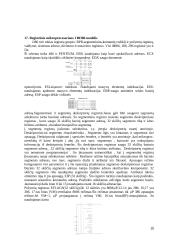 Mikroprocesorių tipai ir modeliai 16 puslapis