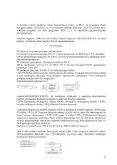 Mikroprocesorių tipai ir modeliai 17 puslapis