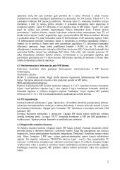 Mikroprocesorių tipai ir modeliai 5 puslapis