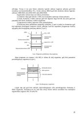 Mikroprocesorių tipai ir modeliai 10 puslapis