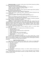 Organizacijos elgsenos modelių dinamika 3 puslapis