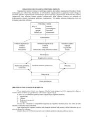 Organizacijos elgsenos modelių dinamika 4 puslapis