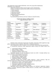 Organizacijos elgsenos modelių dinamika 5 puslapis